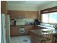 130 Fallons Road, Orangeville NSW 2570