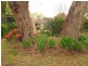 45 Elizabeth Macarthur Avenue, Camden South NSW 2570