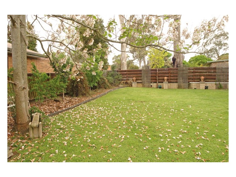 6 Wheeler Avenue, Camden South NSW 2570