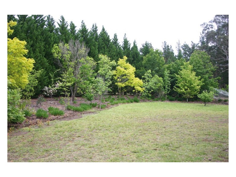 115 Hassall Road, Buxton NSW 2571