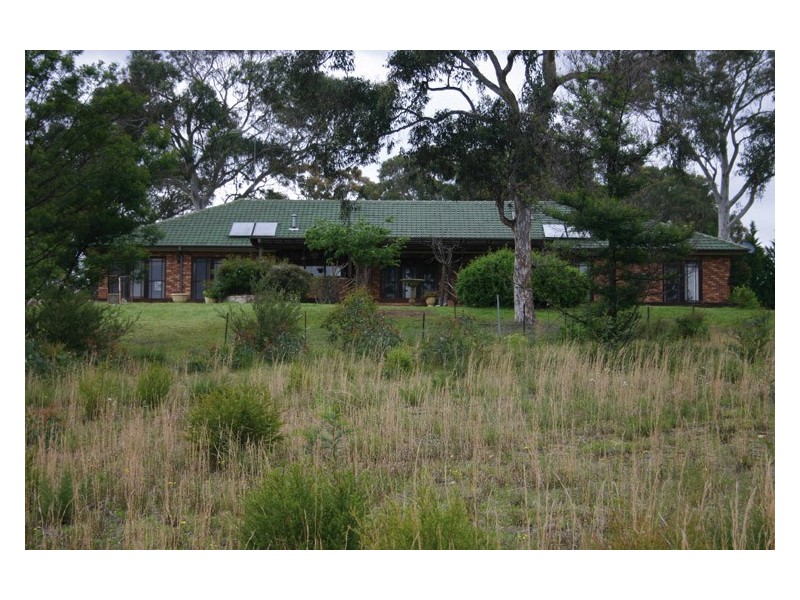 115 Hassall Road, Buxton NSW 2571