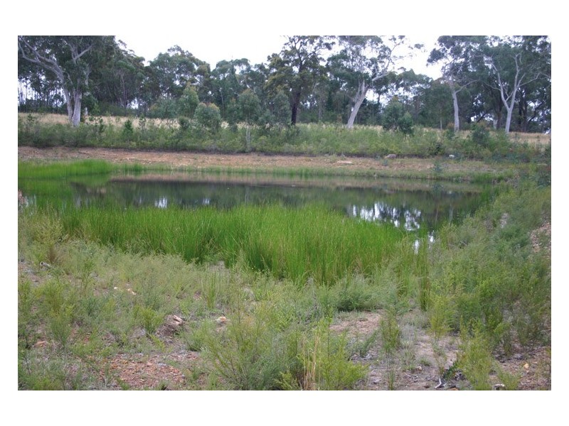 115 Hassall Road, Buxton NSW 2571