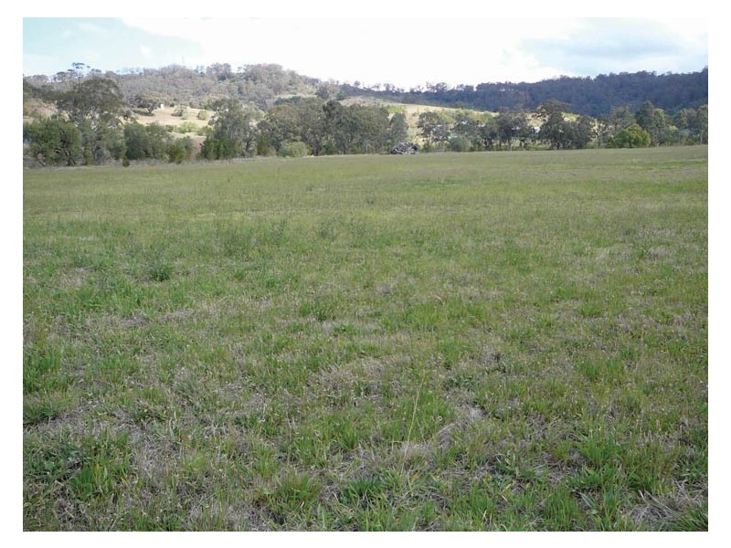 Lot 111 Burrells Road, Menangle NSW 2568