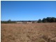 55 Lincoln Drive, Orangeville NSW 2570