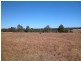 55 Lincoln Drive, Orangeville NSW 2570