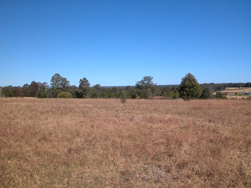 55 Lincoln Drive, Orangeville NSW 2570