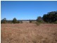 55 Lincoln Drive, Orangeville NSW 2570
