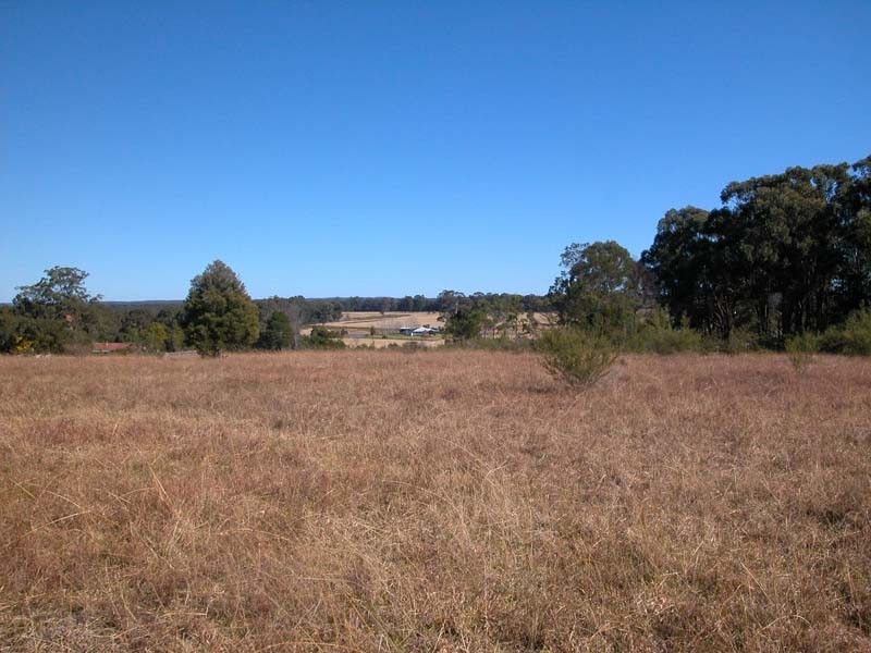 55 Lincoln Drive, Orangeville NSW 2570