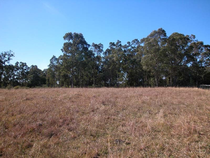 55 Lincoln Drive, Orangeville NSW 2570
