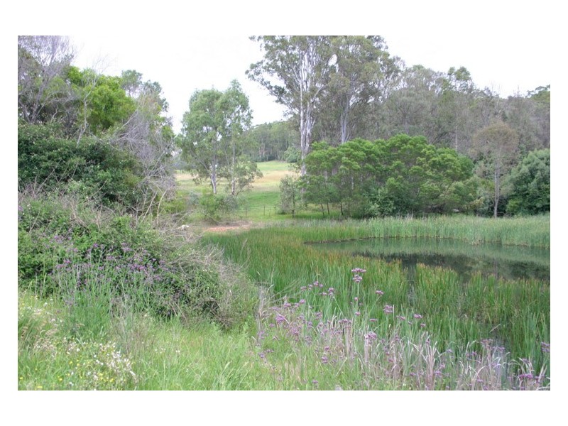 317 McKee Road, Theresa Park NSW 2570