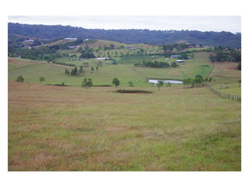 Lot 83, 516 Menangle Road, Menangle NSW 2568