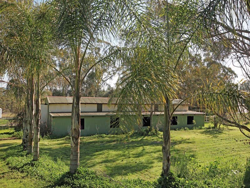 290 Cut Hill Road, Cobbitty NSW 2570