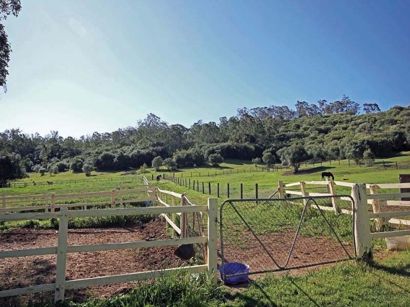 290 Cut Hill Road, Cobbitty NSW 2570