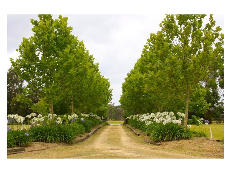 405 Mount Hercules Road, Razorback NSW 2571