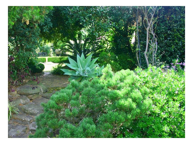 34 Bowman Avenue, Camden NSW 2570