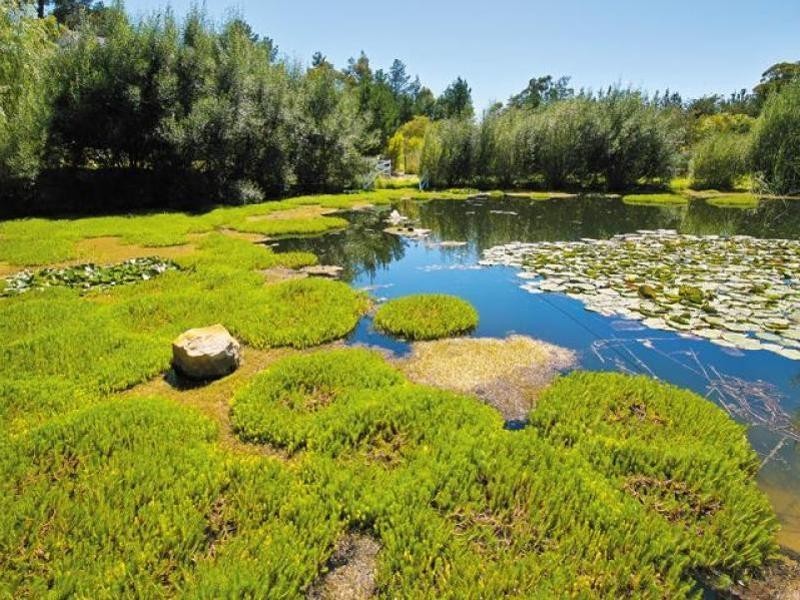 235 Cullen Bullen Road, Portland NSW 2847