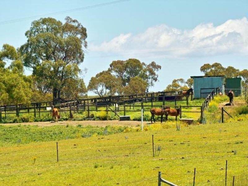 235 Cullen Bullen Road, Portland NSW 2847