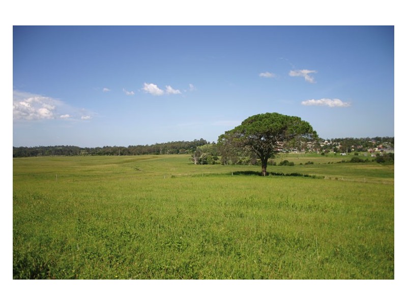 60 Quarry Road, The Oaks NSW 2570