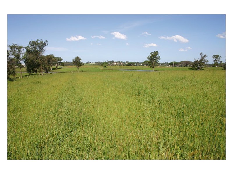 60 Quarry Road, The Oaks NSW 2570