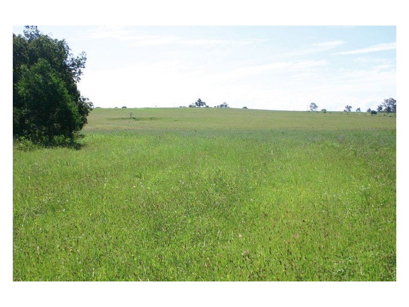 60 Quarry Road, The Oaks NSW 2570