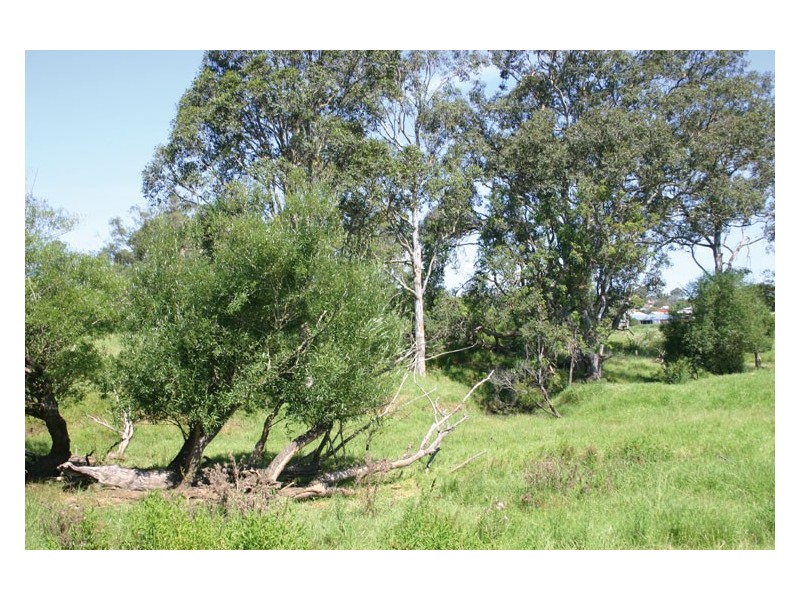 60 Quarry Road, The Oaks NSW 2570