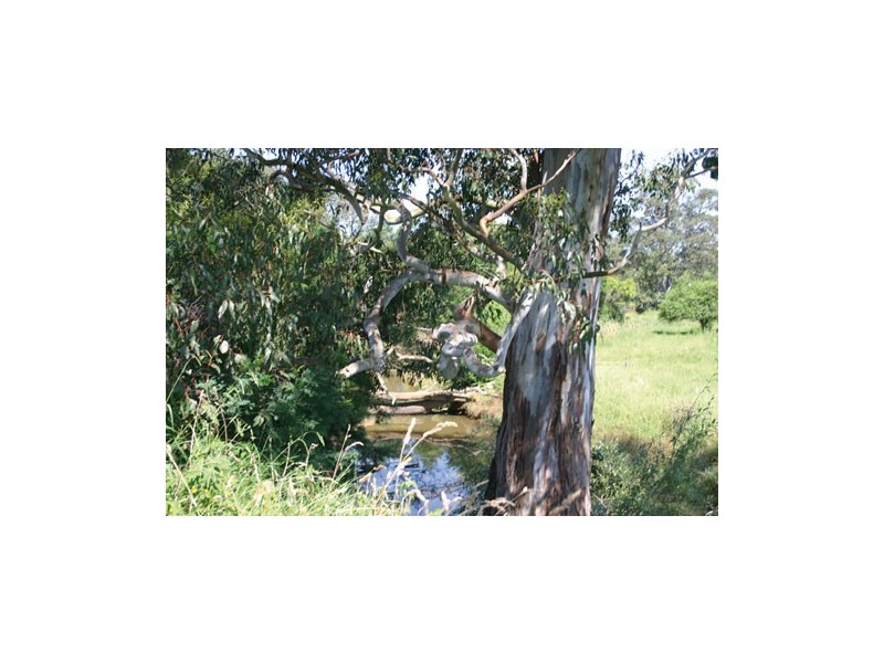 60 Quarry Road, The Oaks NSW 2570