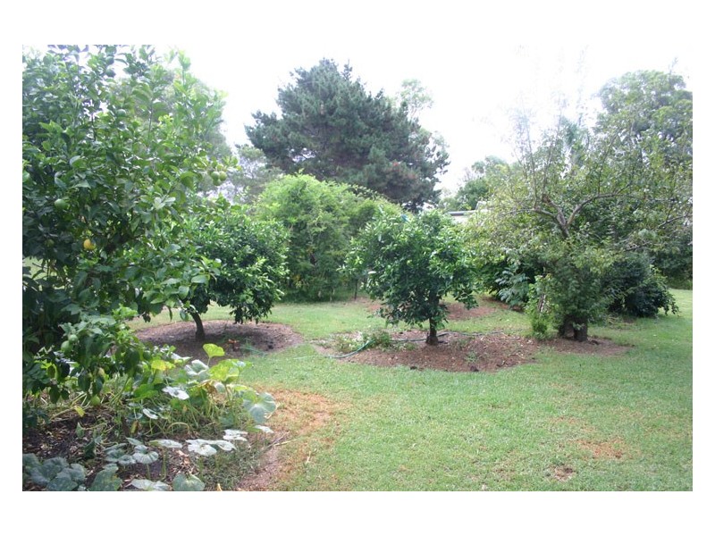 175 Mowbray Park Road, Mowbray Park NSW 2571