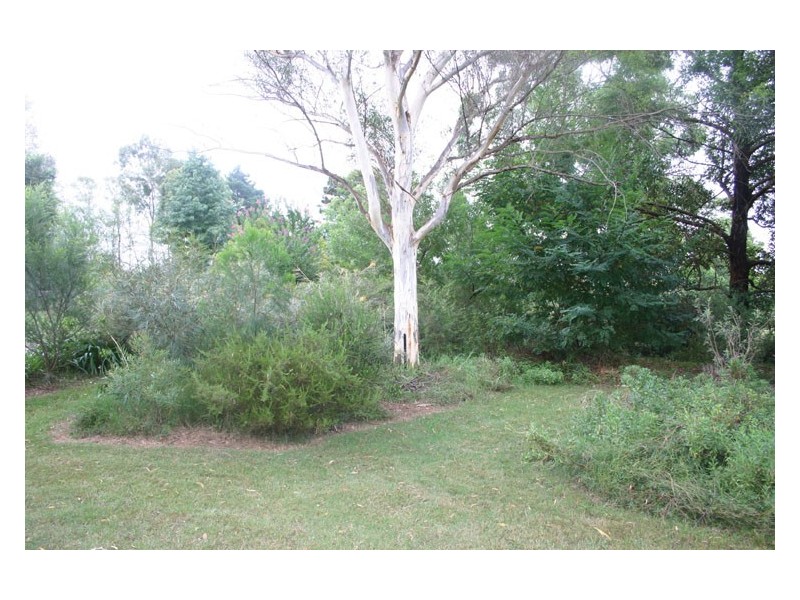 175 Mowbray Park Road, Mowbray Park NSW 2571