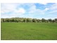 155 Biffins Road, Cawdor NSW 2570