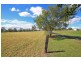 155 Biffins Road, Cawdor NSW 2570