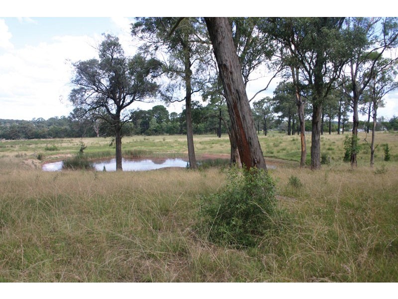 50 Cedar Creek Road, Thirlmere NSW 2572