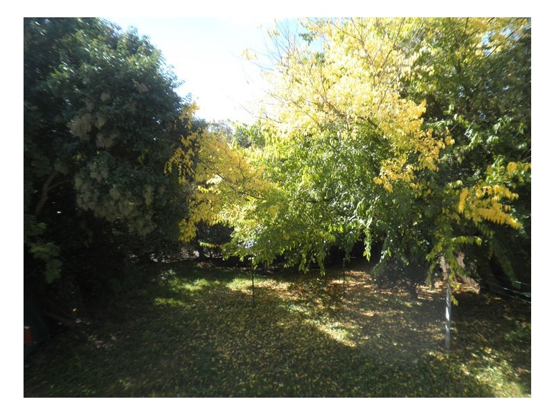 6 View Street, Camden NSW 2570