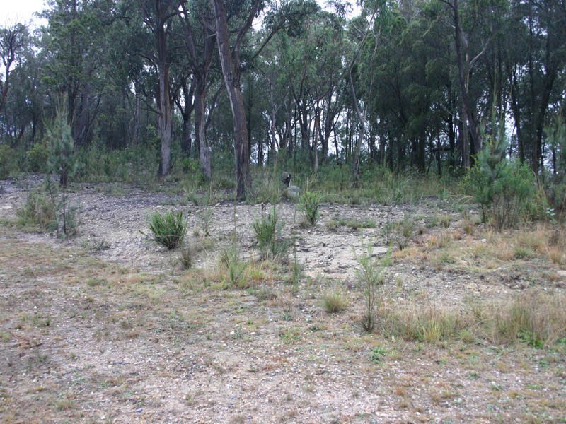 Lot 6 Cockatoo Close, Tallong NSW 2579