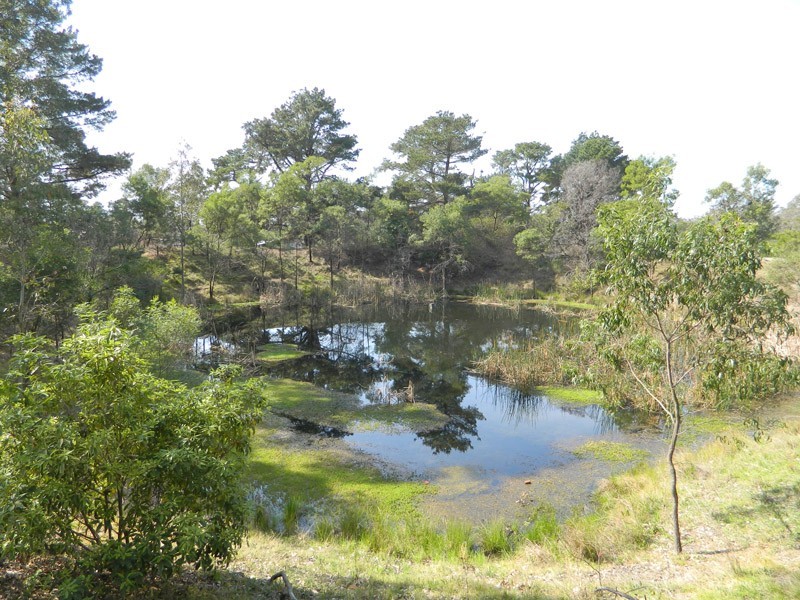 90 News Road, Werombi NSW 2570