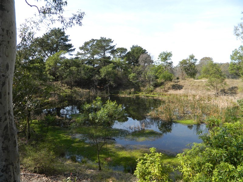 90 News Road, Werombi NSW 2570