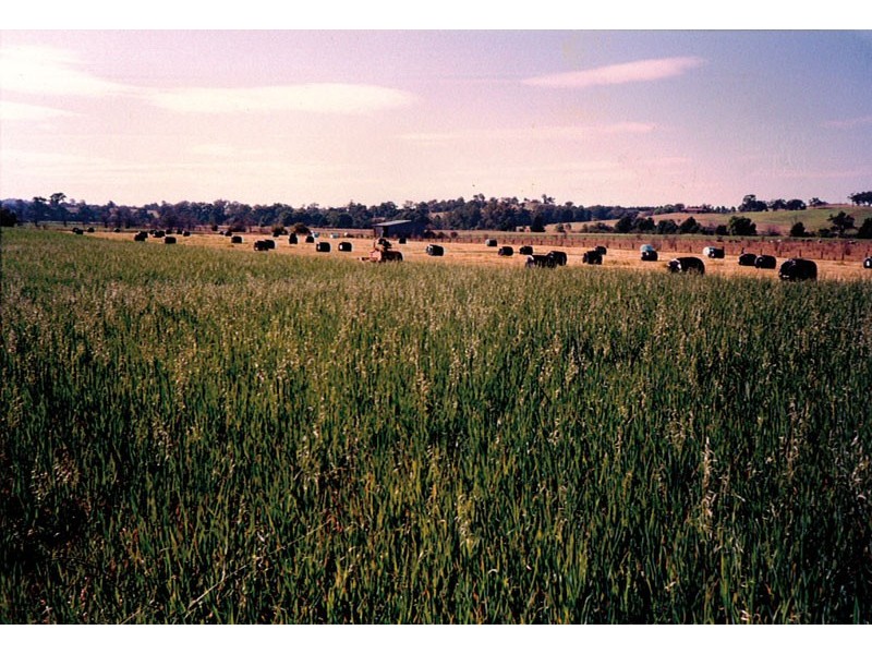 180 Monks Lane, Mount Hunter NSW 2570