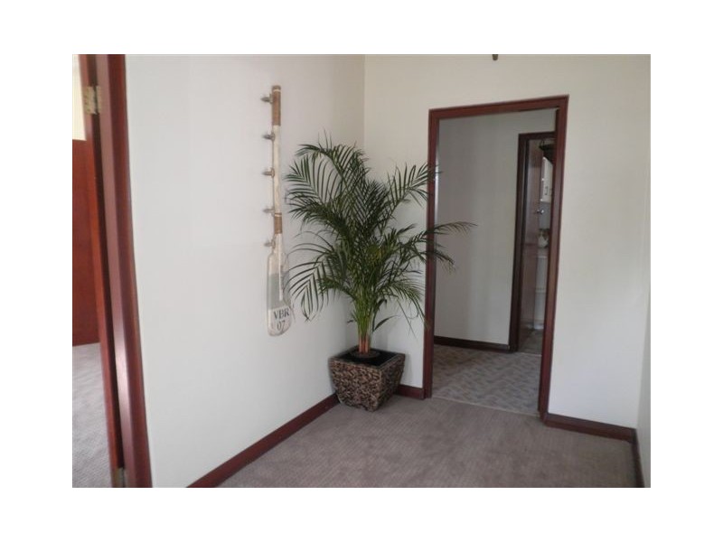 66 Menangle Road, Camden NSW 2570