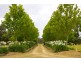 405 Mount Hercules Road, Razorback NSW 2571