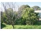20 Ettlesdale Road, Spring Farm NSW 2570