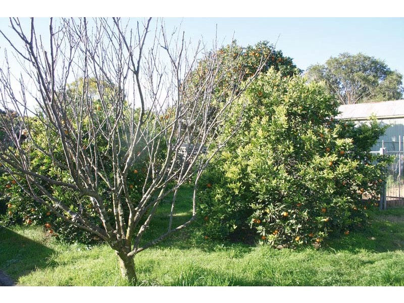 20 Ettlesdale Road, Spring Farm NSW 2570