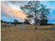 Camden NSW 2570