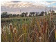Camden NSW 2570