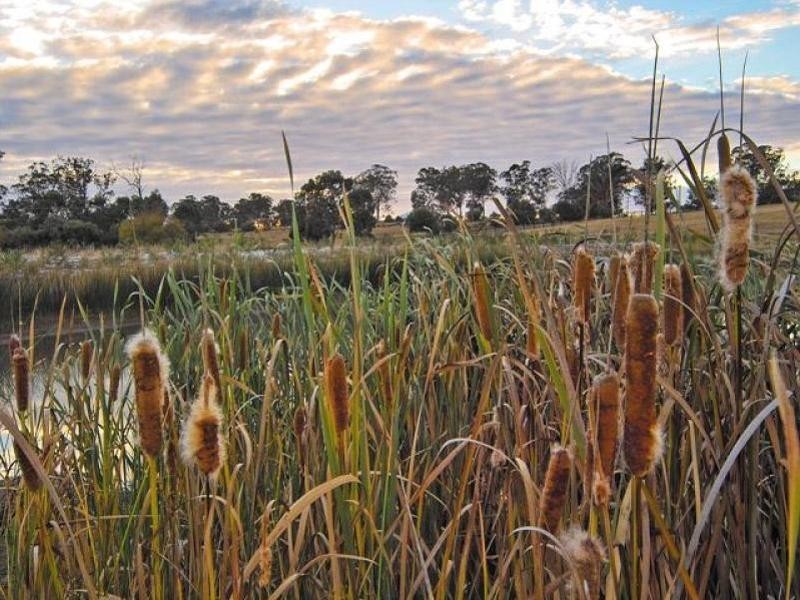 Camden NSW 2570
