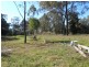 1 Camden Park, Camden NSW 2570