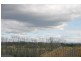 Lot 548, 4 McLeod Place, Elderslie NSW 2570