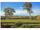 Lot 3 Hume Highway, Sutton Forest NSW 2577