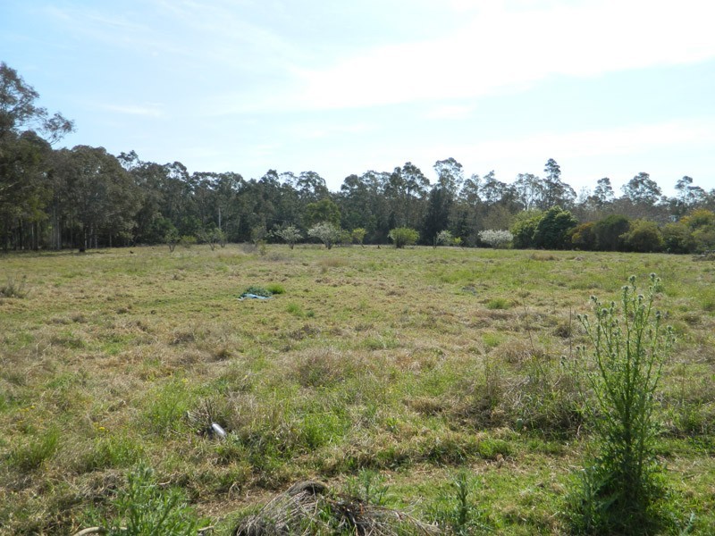 90  News Road, Werombi NSW 2570