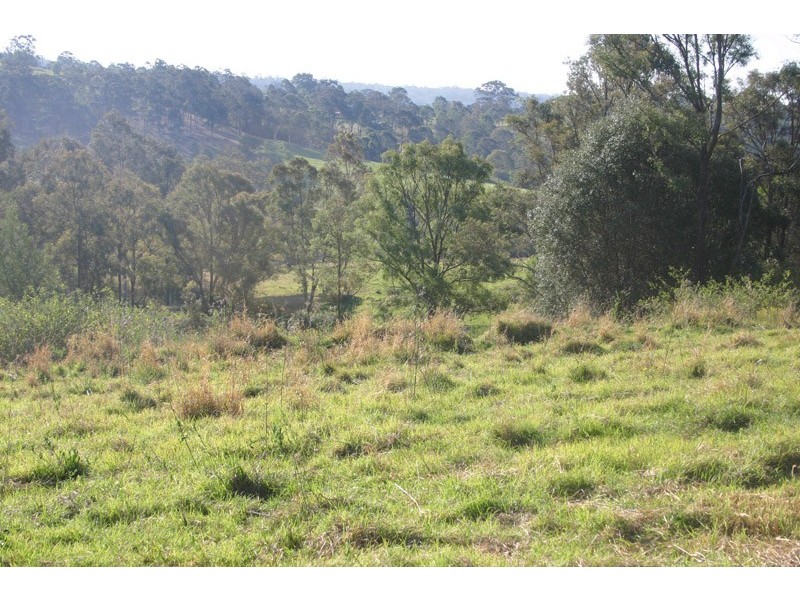 Lot 2, 275 Bobs Range Road, Orangeville NSW 2570