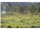 Lot 2, 275 Bobs Range Road, Orangeville NSW 2570
