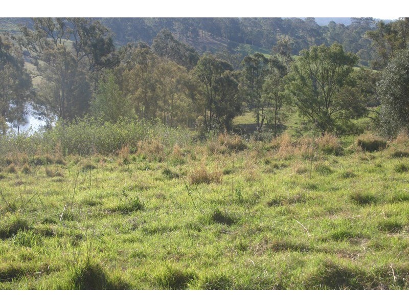 Lot 2, 275 Bobs Range Road, Orangeville NSW 2570